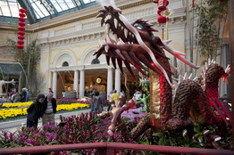 在拉斯维加斯美高梅百乐宫酒店温室里摆设的中国春节装饰。