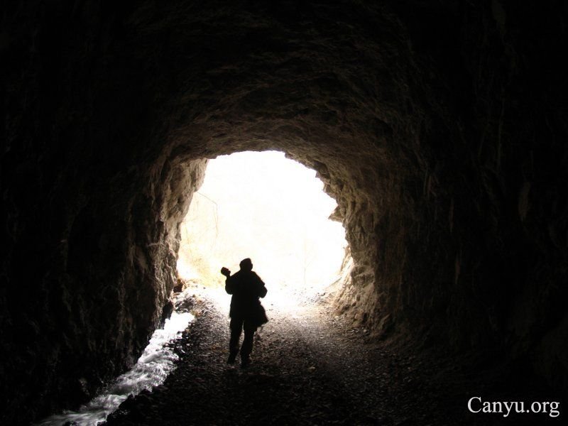 2009年1月谭作人在绵阳市安县高川乡