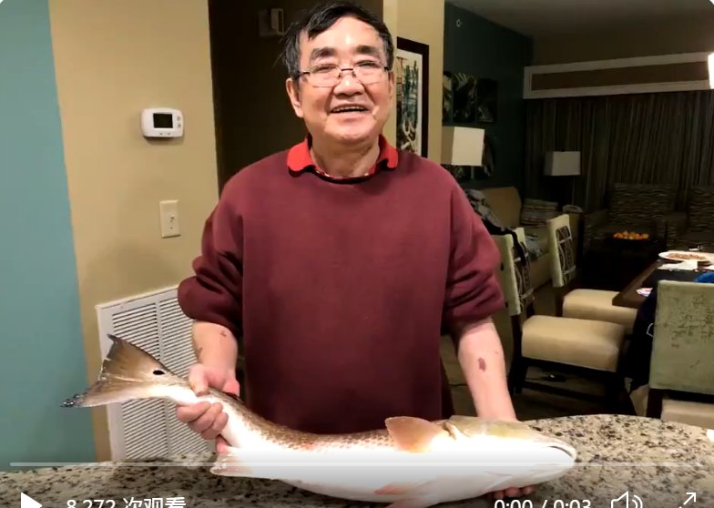  Catfish Pro 牛肉血鯰魚餌適用於釣魚捕捉藍色、海峽和平頭