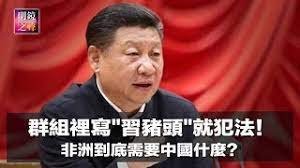 习近平独裁暴政观察：心在中国——一头蠢猪妄想称霸世界