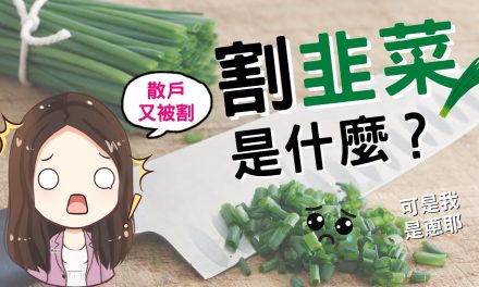 晓流：韭菜抒怀迎新春