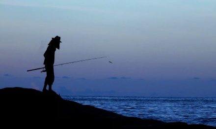 江棋生：从野荷到“失灵魂真义的存在物” — 读一砚翁《野荷塘随想》