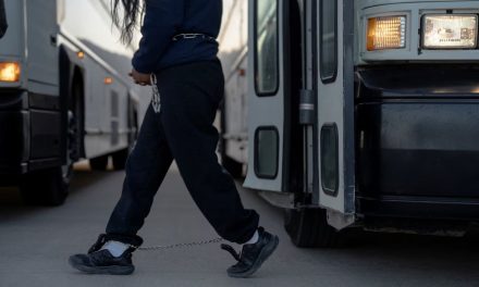 特朗普上任　中国人润出国另辟捷径？