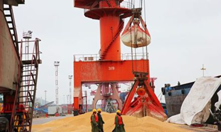 白宫考虑削减对华关税以缓解贸易战紧张关系