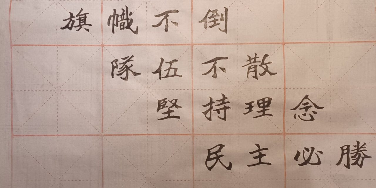 彭小明：悼念万润南先生