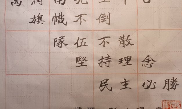 彭小明：悼念万润南先生