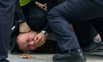 一真溅雪：致中共警察的公开信