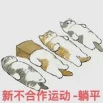 康正果：躺平史