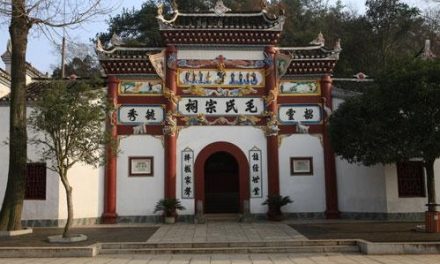 一真溅雪：毛泽东发动“文化大革命”的真正原因